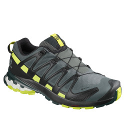 Scarpe XA PRO 3D V8 GTX...