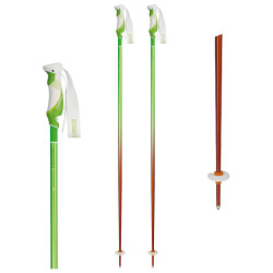 Bastoni Sci REBELUTION 2-TONE