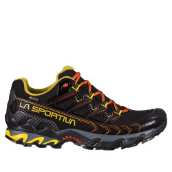 Scarpe ULTRA RAPTOR II GTX...