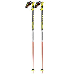 WC SL TBS Ski Poles