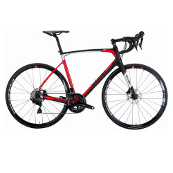Bicicletta ZERODIECI