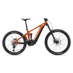 Mountain E-Bike REIGN E+ 3
