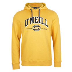 SURF STATE HOODIE sweat à...