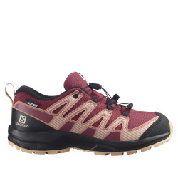 Scarpe XA PRO V8 CSWP J...