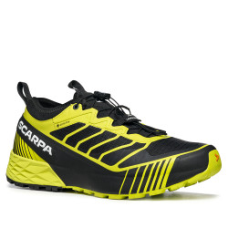 Scarpe RIBELLE RUN GTX...