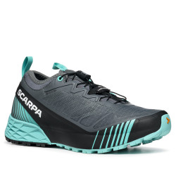 Scarpe RIBELLE RUN GTX WMN...