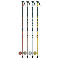 Bastoni sci STOVE BOX 20 PAIRS