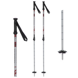 Bastoni sci RENTAL...