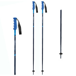 Bastoni Sci VICTORY TI