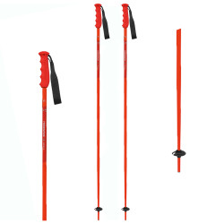 Bastoni Sci VICTORY TI