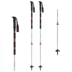 Bastoni Scialpinismo...