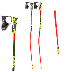 Bastoni Sci WORLDCUP GS -...