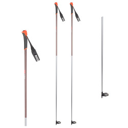 Bastoni sci fondo FT-600
