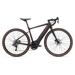 E-Bike REVOLT E+