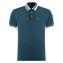 Polo ALLARME