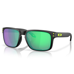 Occhiali da sole HOLBROOK