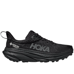 Scarpe CHALLENGER ATR 7 GTX...