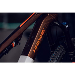 HAIBIKE LYKE CF 10