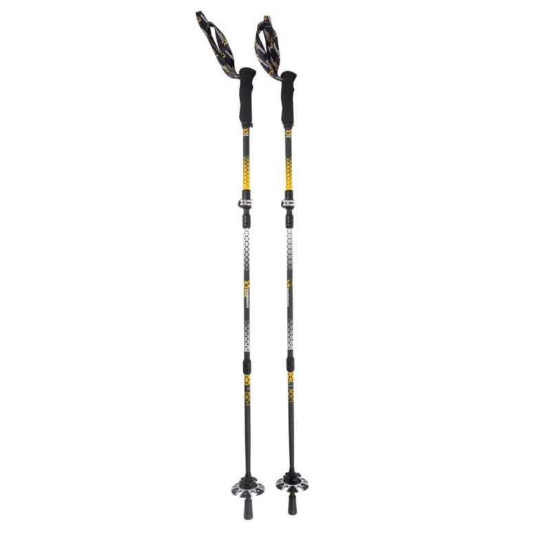 DYNAMIC Z EVO CARBON POLE