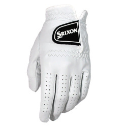 PREMIUM LEATHER GLOVE LADIES L