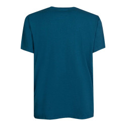 DIMORE DEGLI DEI SS MAN T-SHIR