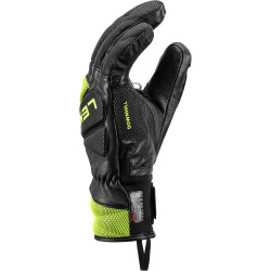 WCR VENOM DH 3D Alpine Skiing